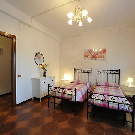 B&B Lory *