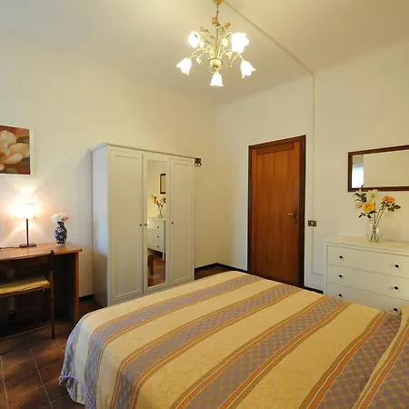B&B Lory *